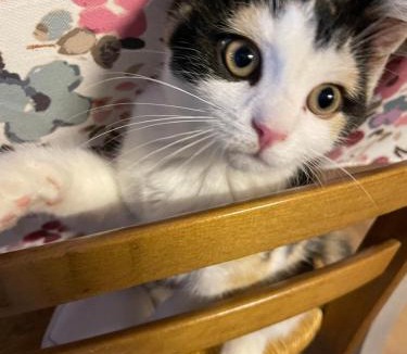 Pontmain Bed & Breakfast | Villa des Roses