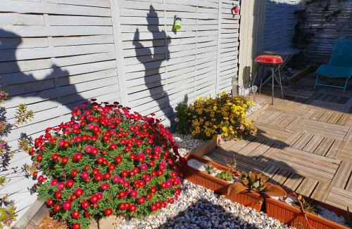 Frontignan Apartment | Villa Dora