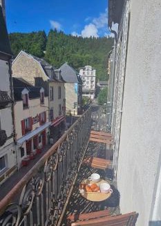 Mont-Dore Apartment | Villa Duchatel Appt 2/4 pers