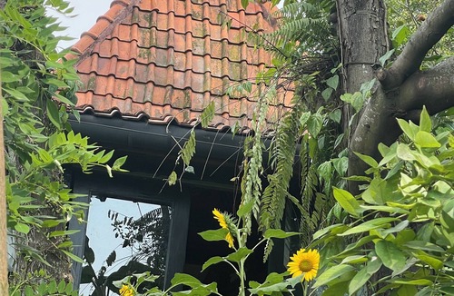 Dramaga Villa | Villa EcoForest Haven 5EyesFarm
