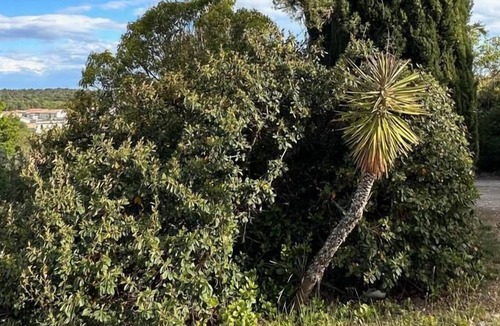 Montarnaud House | Villa Elektra - Heated Pool