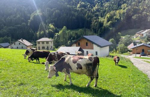 Bellevaux Villa | Villa en Bellevaux avec sauna et jacuzzi