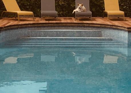 Rion-des-Landes House | Villa Eva des landes