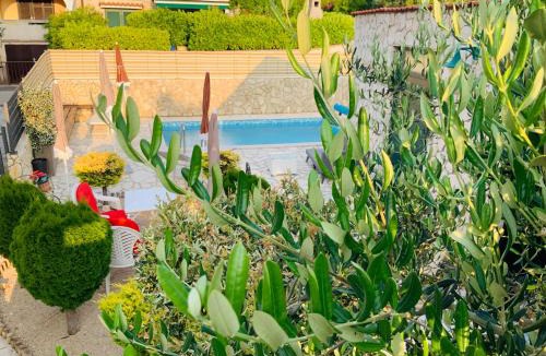 Punat Apartment | Villa EVAMAR, Island Krk Punat