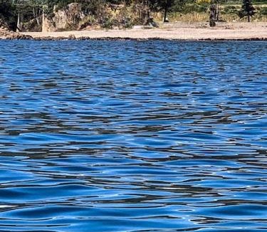 Sari-Solenzara Villa | Villa Falcone marinu *