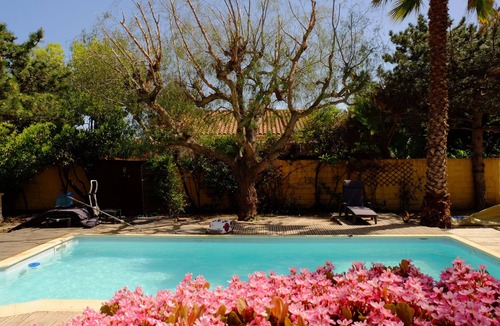 Argeles-sur-Mer Villa | Villa for 8 people with private pool and 1200m2 of land