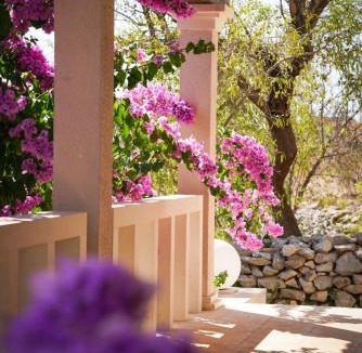 Milna (Brac) Villa | Villa Fortica