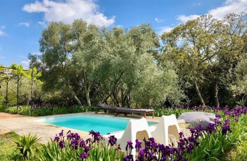 Junas Villa | Villa Fragon Piscine Privée & Oliviers 8 Pers