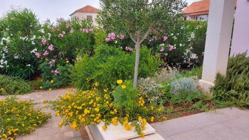 Grohote Villa | Villa Giove