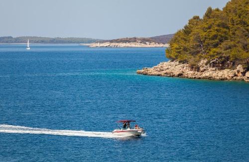 Vela Luka Villa | Villa Goga