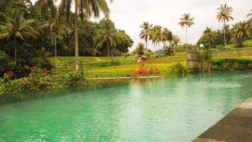 Sei Pinang House | Villa Gubug Ijen Banyuwangi