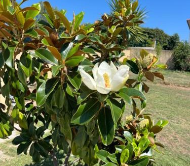 Ventiseri House | Villa Héliopolis