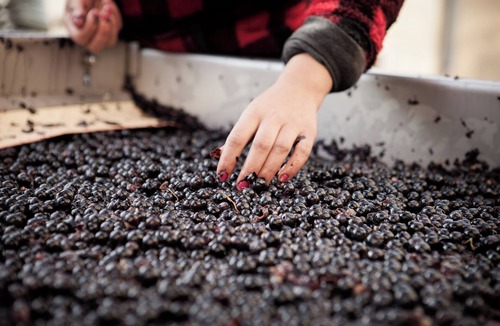 Sommieres Hotel | Villa Héloise