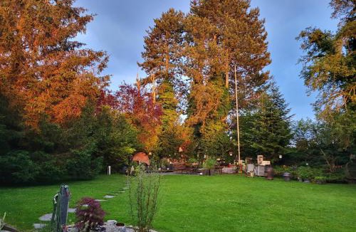 Menziken Bed & Breakfast | Villa Hühnerbunt BnB Kraftort 5737 Menziken