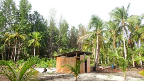 Raja Ampat House | Villa Homestay
