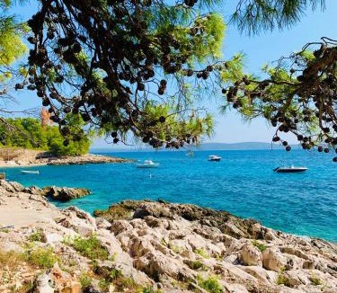 Ivan Dolac Apartment | Villa Hvar II