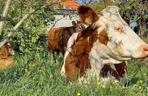 Maubourguet Bed & Breakfast | Villa Imaginaire