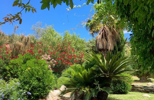 Collioure Villa | Villa in a Mediterranean garden, 300 m from the beach and stores