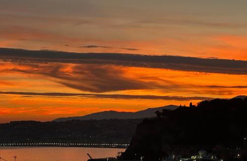 Lazaret Villa | Villa Iris