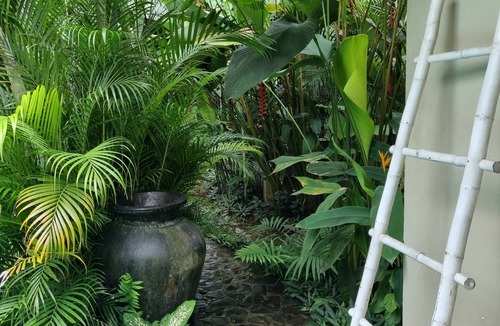 Lovina Villa | Villa Jati - Classy poolside villa, central Lovina