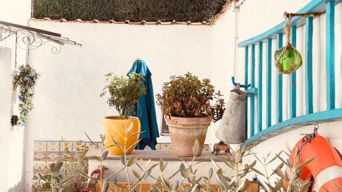 Malo-les-Bains Apartment | VILLA JULIETTE