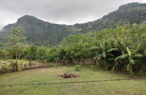 Sumbawa Barat House | Villa Kayu