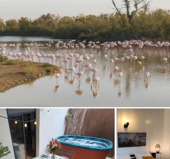 Candillargues Villa | Villa l'Eden de Camargue- Spa et Nature