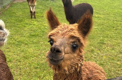 Ayzac-Ost Villa | Villa La Grange .