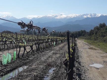 Ghisonaccia Apartment | Villa Laura avec Piscine Privée