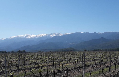 Ghisonaccia Apartment | Villa Laura avec Piscine Privée