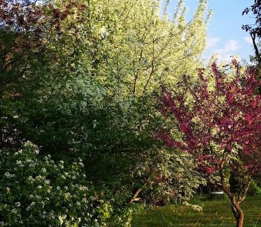 Thomery Bed & Breakfast | Villa le Cloky