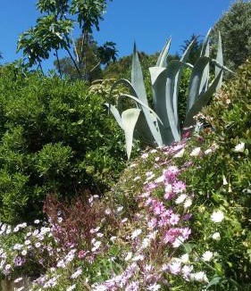 Roches Grises Bed & Breakfast | Villa Le Clos Fleuri