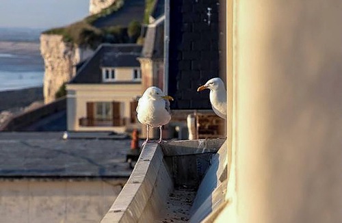 Le Treport Apartment | Villa "Le Courlis "panoramic sea view direct beach access