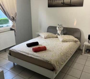 Andrezieux-Boutheon Villa | Villa le jasmin très calme