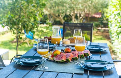 Zupa dubrovacka Apartment | Villa Lemon Garden - Apartment in Dubrovnik