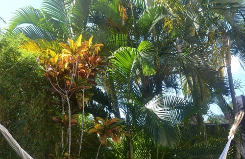 Las Terrenas House | Villa Leon Azul