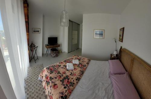 Saint-Alban House | villa les lavandes