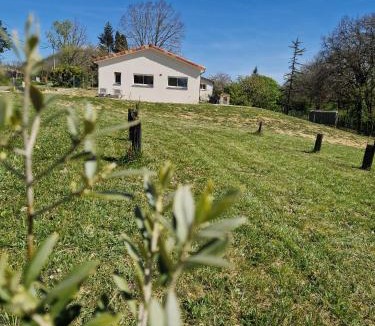 Lussan House | Villa Les Oliviers