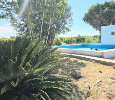 Carcaixent Villa | Villa Los Naranjos