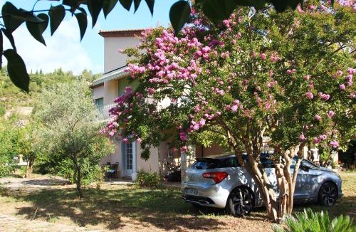 Bedarieux Apartment | Villa Loudéro