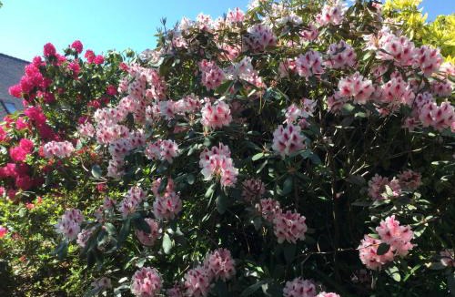 Ploemeur Villa | Villa Lucie