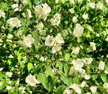 Vallon-Pont-d'Arc House | Villa Madeleine