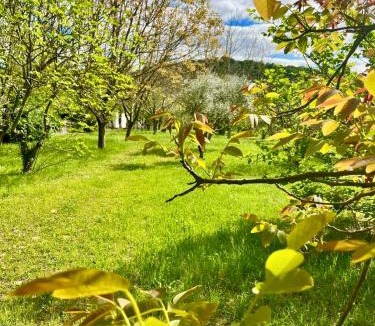 Vallon-Pont-d'Arc House | Villa Madeleine