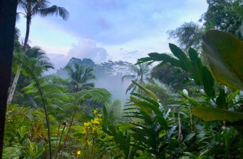 Kelusa Villa | Villa Mahadevi 4 within Jungle & Private Pool Ubud