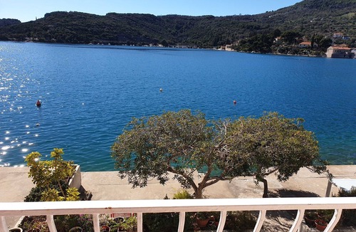Zaton Apartment | Villa Malfi-Studio Apartment with Balcony and Sea View (A2)