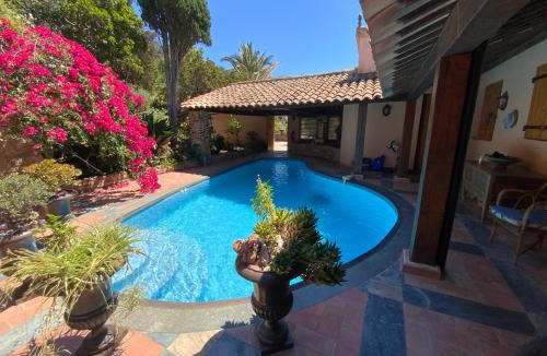 Ile du Levant Bed & Breakfast | VILLA MANDRAGORE Ile du Levant