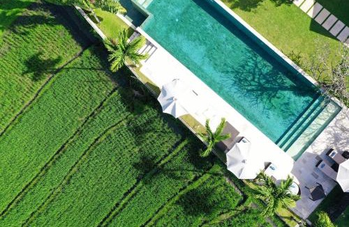 Pererenan Villa | Villa Manis Canggu