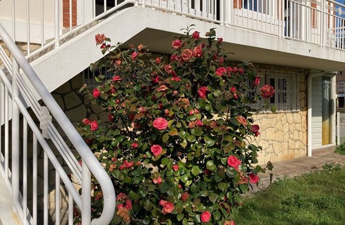 Maubuisson House | VILLA MARBOEUF IDYLLIC BEACHFRONT LOCATION