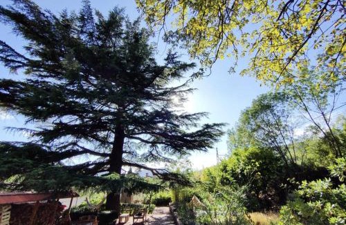 Lunas Bed & Breakfast | villa marguerite