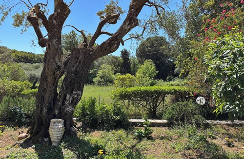 Petaleia Villa | Villa Marialetta